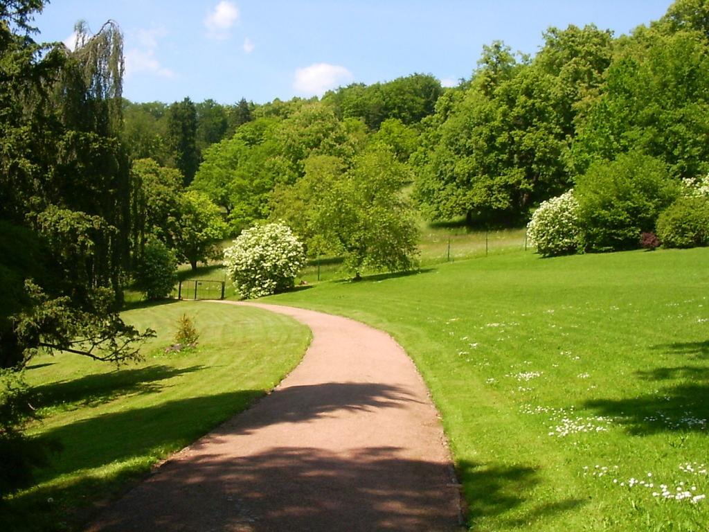 Lovely Holiday Home In The Thuringian Forest With Roof Terrace And Great View Bad Liebenstein Esterno foto